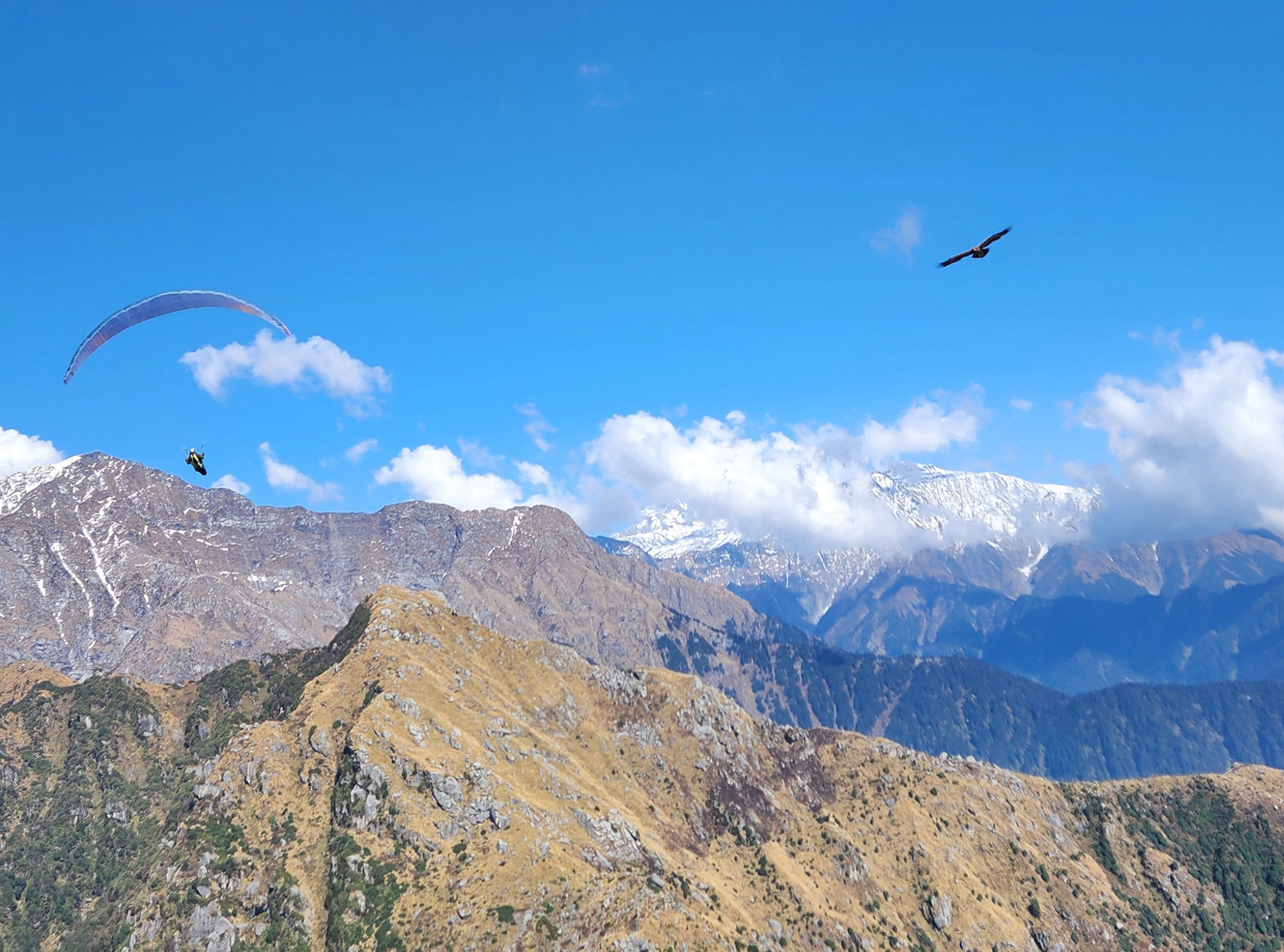 Bir Billing Paragliding